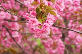 爱游戏综合娱乐-“战术变化：比赛中的智慧博弈”，比赛战术名词解释