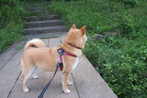 AIYOUXI.COM-“西甲明星对决：攻守精彩纷呈，球迷狂欢”，西甲明星球员