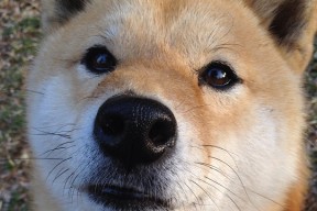 爱游戏平台-《电竞行业的“隐形冠军”：幕后力量崛起》，电竞幕后工作人员